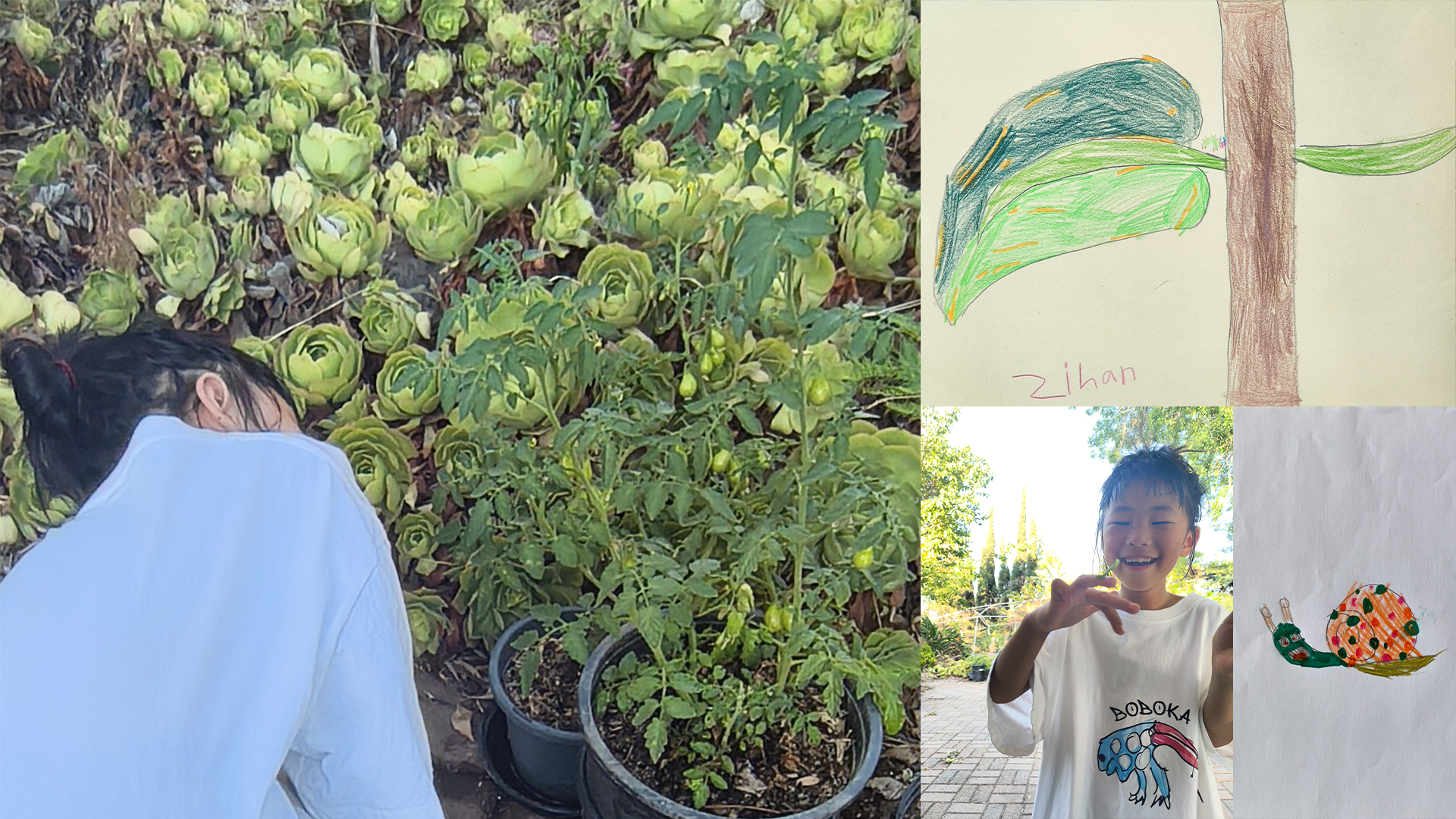 The Snail and the Caterpillar